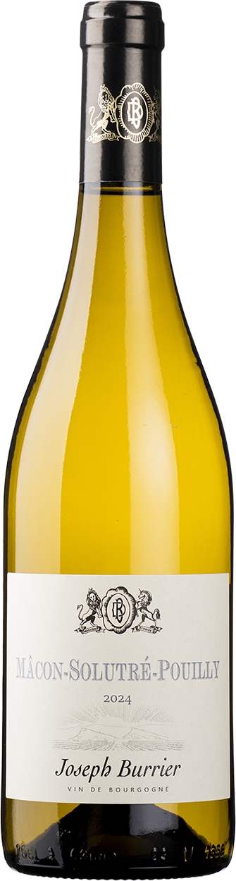 2024 Mâcon Solutre Pouilly