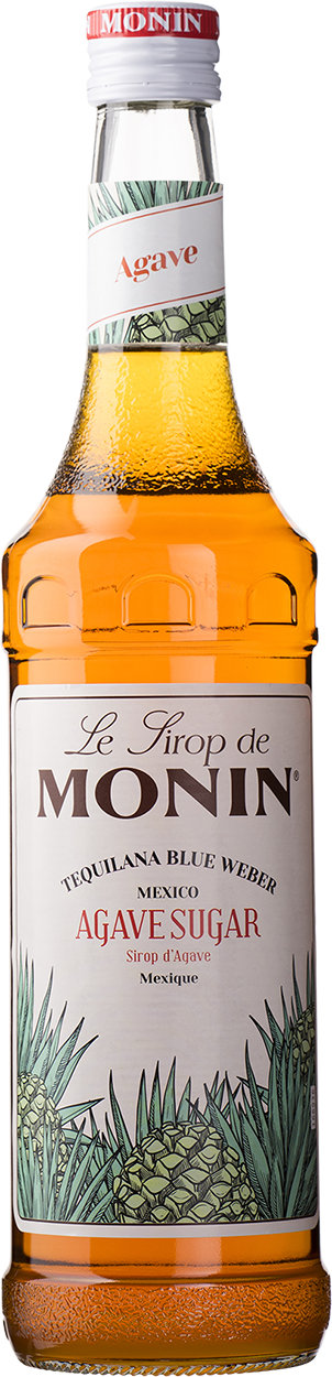 Monin Agave