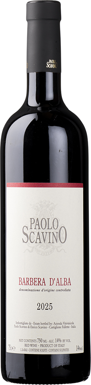 2025 Barbera d'Alba