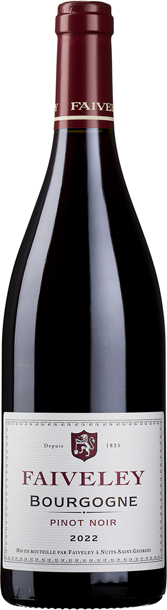 2022 Bourgogne Rouge Pinot Noir
