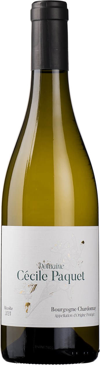 2024 Bourgogne Chardonnay